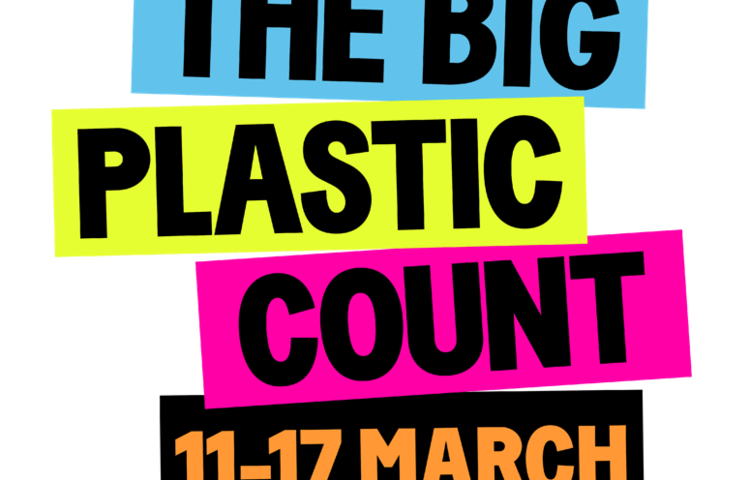 Image of The Big Plastic Count